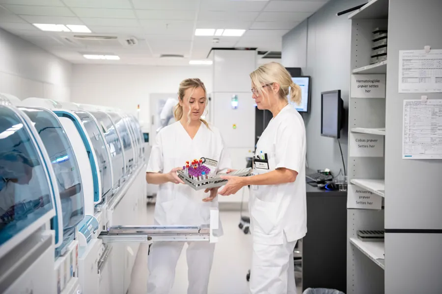 To bioingeniører på et laboratorium