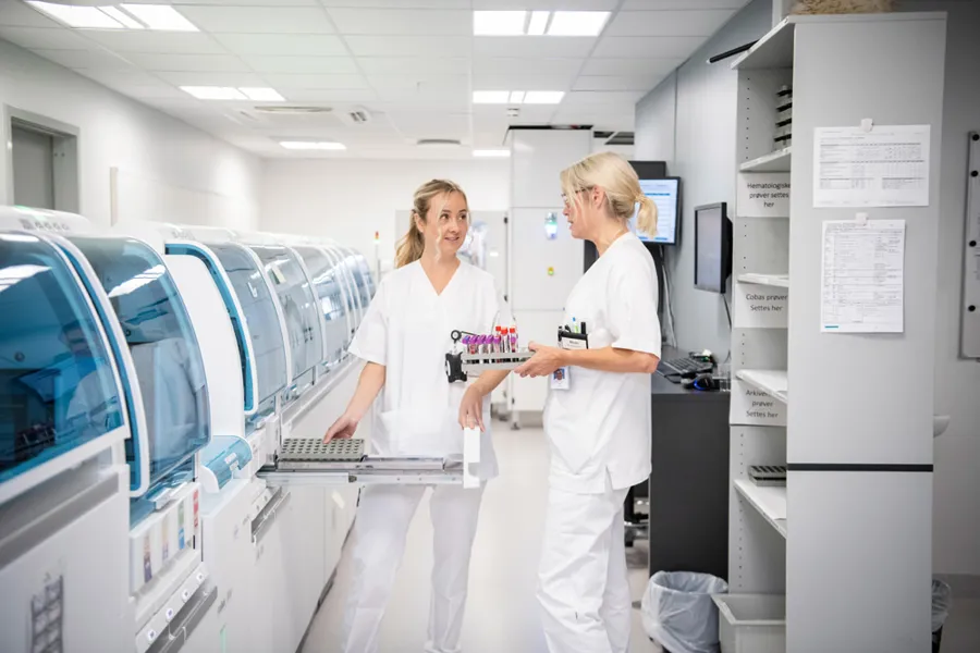 To bioingeniører på et laboratorium