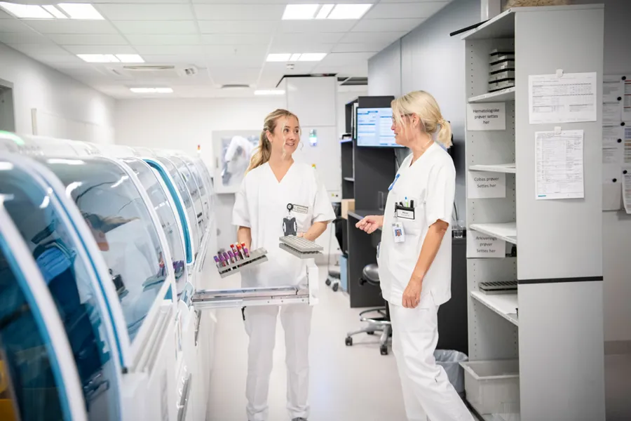 To bioingeniører på et laboratorium