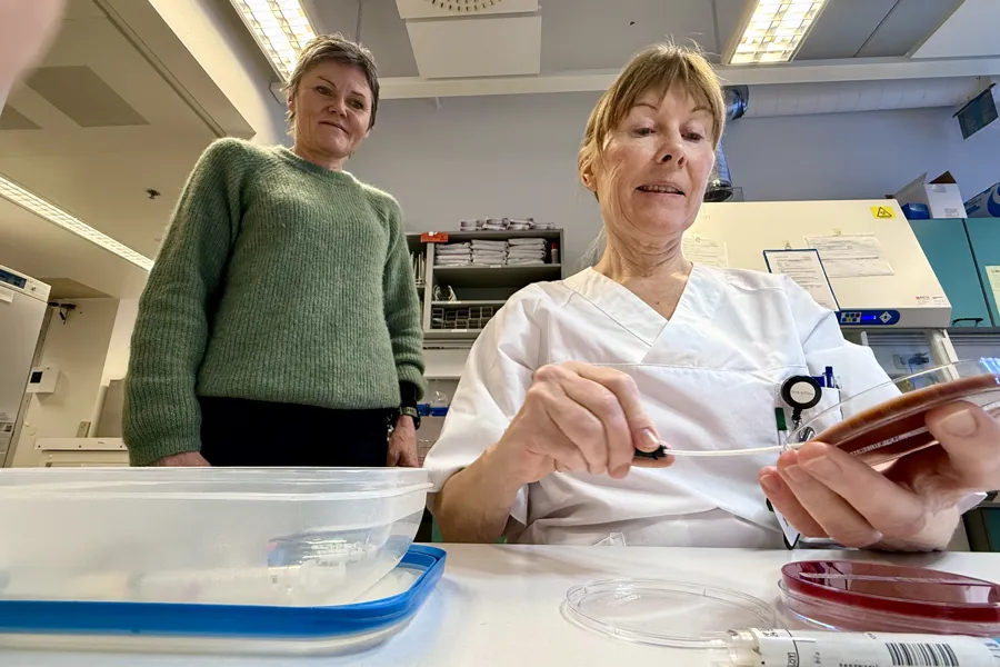 En kvinne i laboratoriefrakk