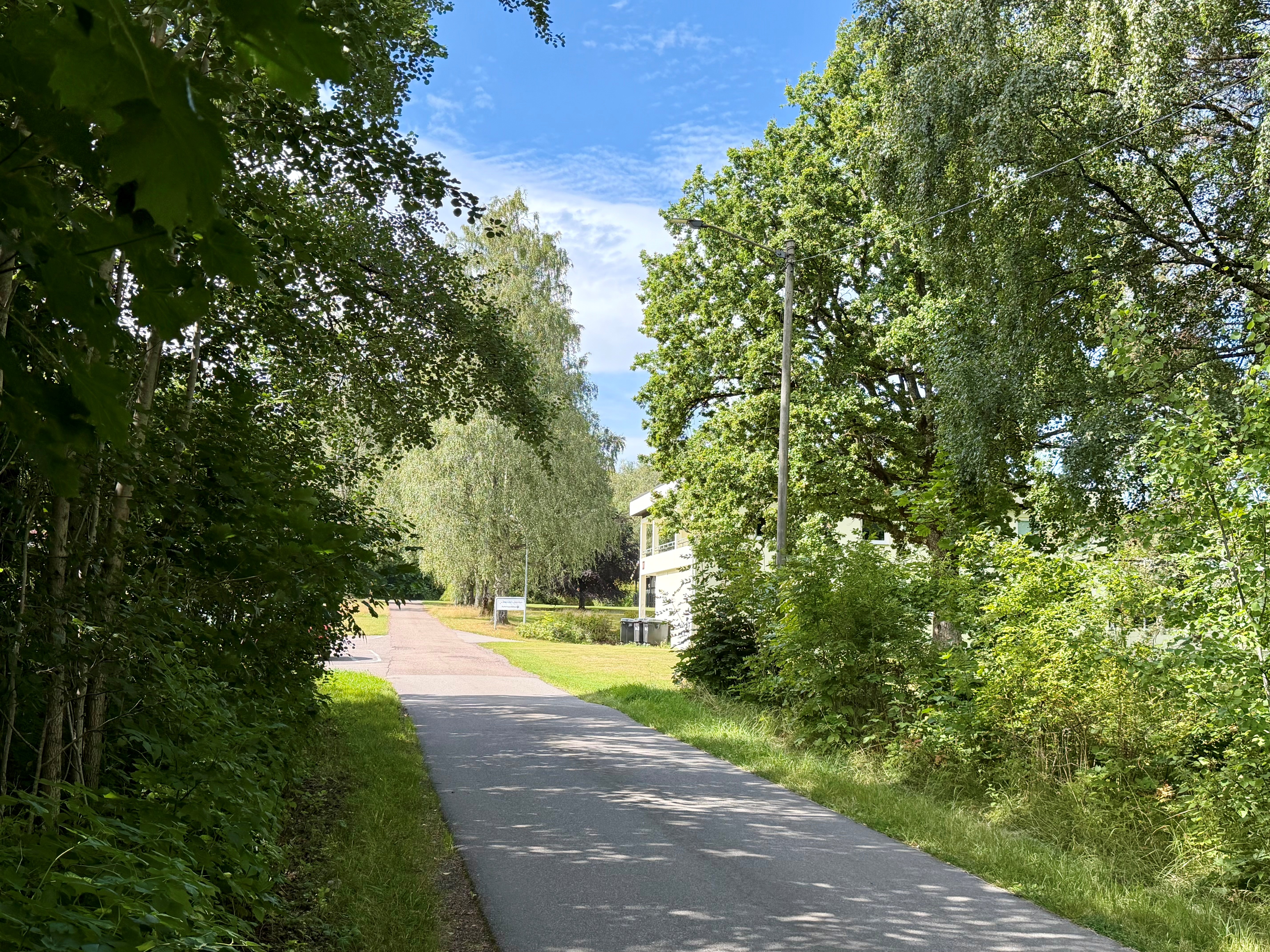 En bilvei med trær på begge sider