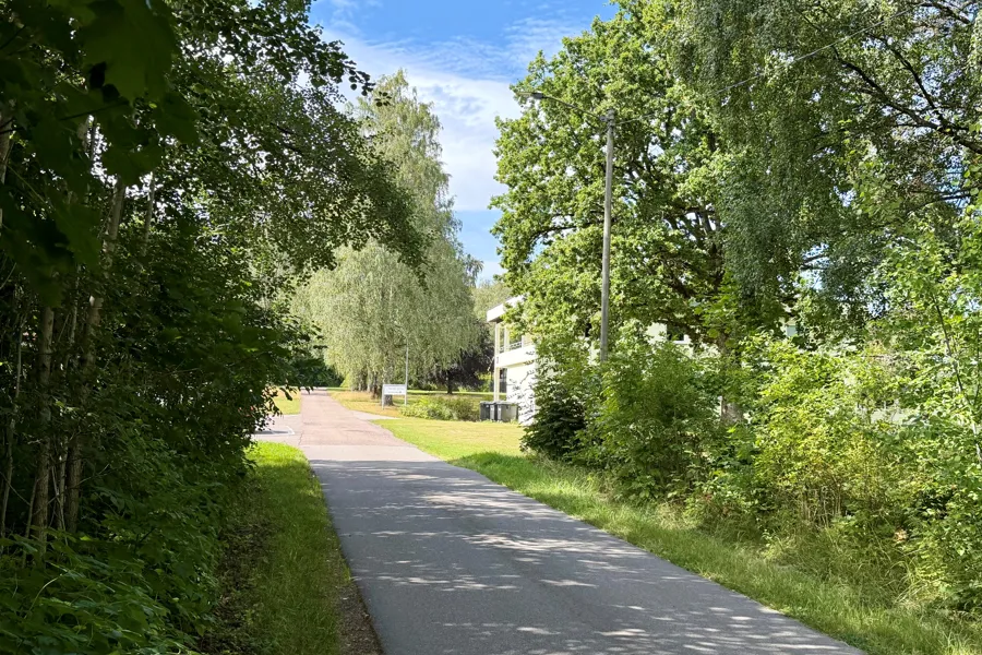 En bilvei med trær på begge sider