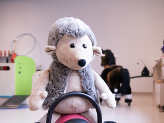 Et kosedyr på en sykkel