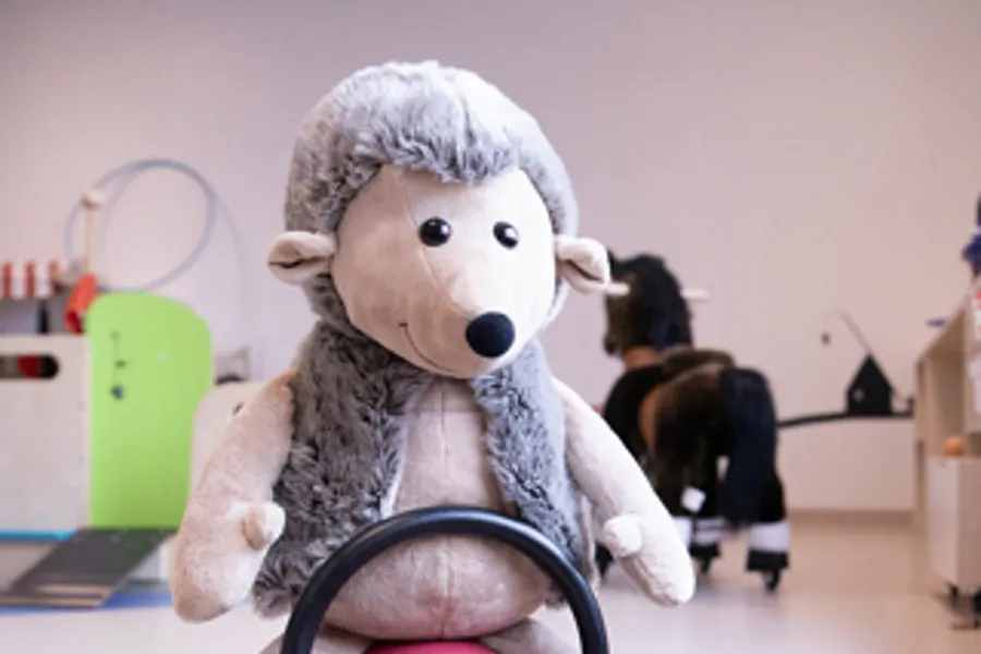 A stuffed animal on a bike