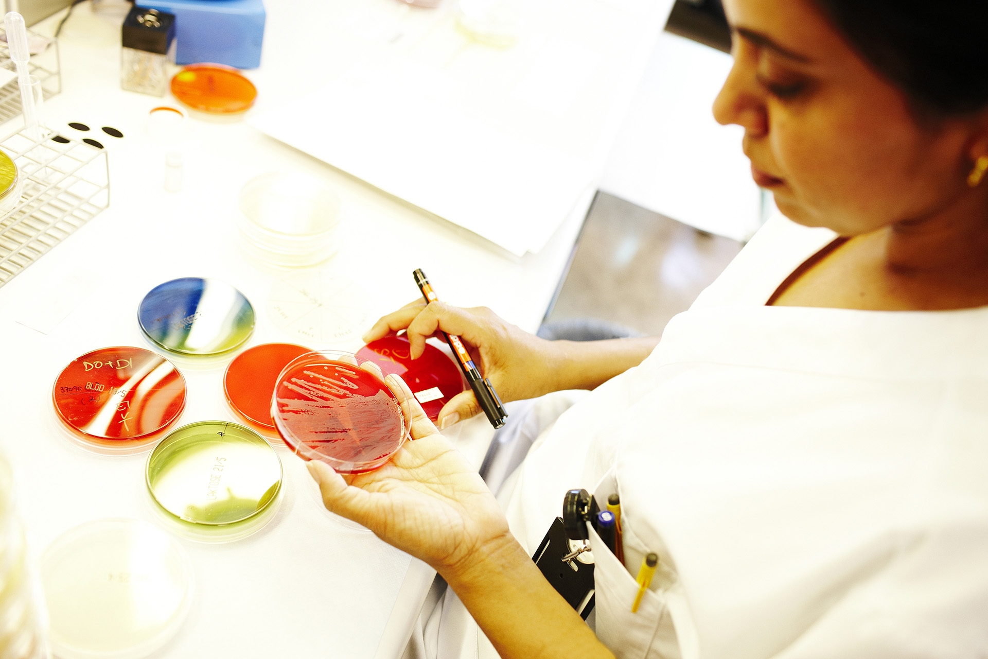 En kvinne som maler en bolle