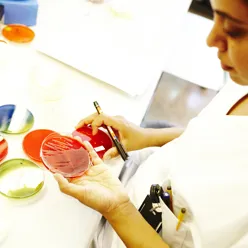 En kvinne som maler en bolle