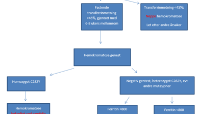 en forenklet utgave av flytskjema for utredning av hemokromatose i allmennpraksis, utviklet på grunnlag av Hemokromatose handlin
