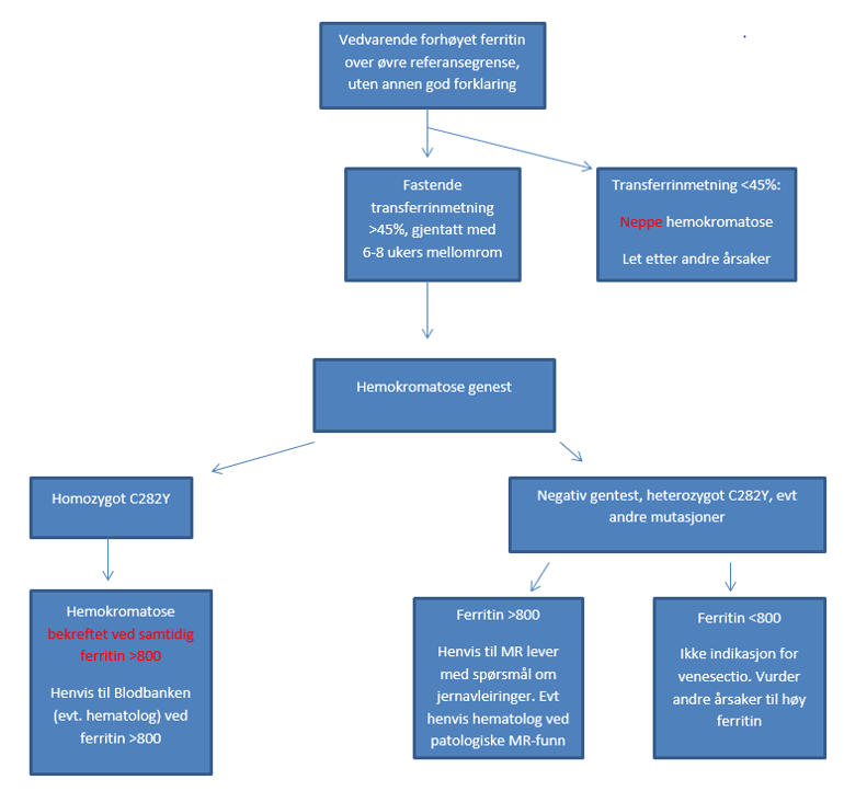 en forenklet utgave av flytskjema for utredning av hemokromatose i allmennpraksis, utviklet på grunnlag av Hemokromatose handlin