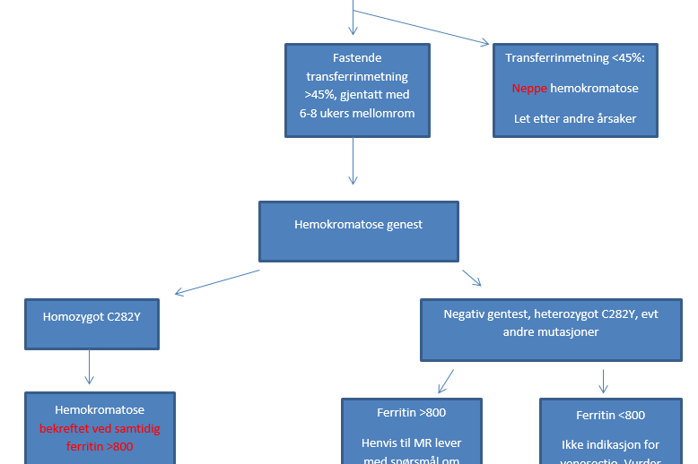 en forenklet utgave av flytskjema for utredning av hemokromatose i allmennpraksis, utviklet på grunnlag av Hemokromatose handlin