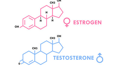 Illustrerer estragon og testoterone
