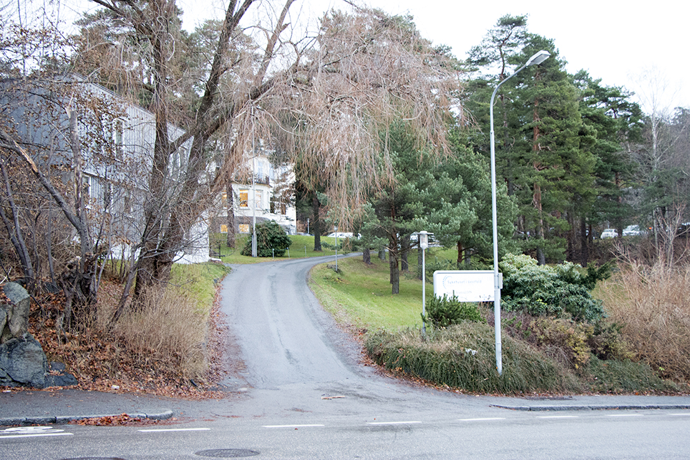A road with trees on the side