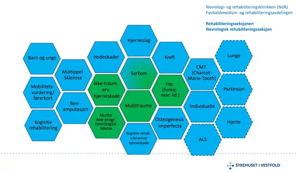En gruppe fargerike firkanter som illustrerer oversikten over rehabiliteringstjenestene slik de ser ut i dag