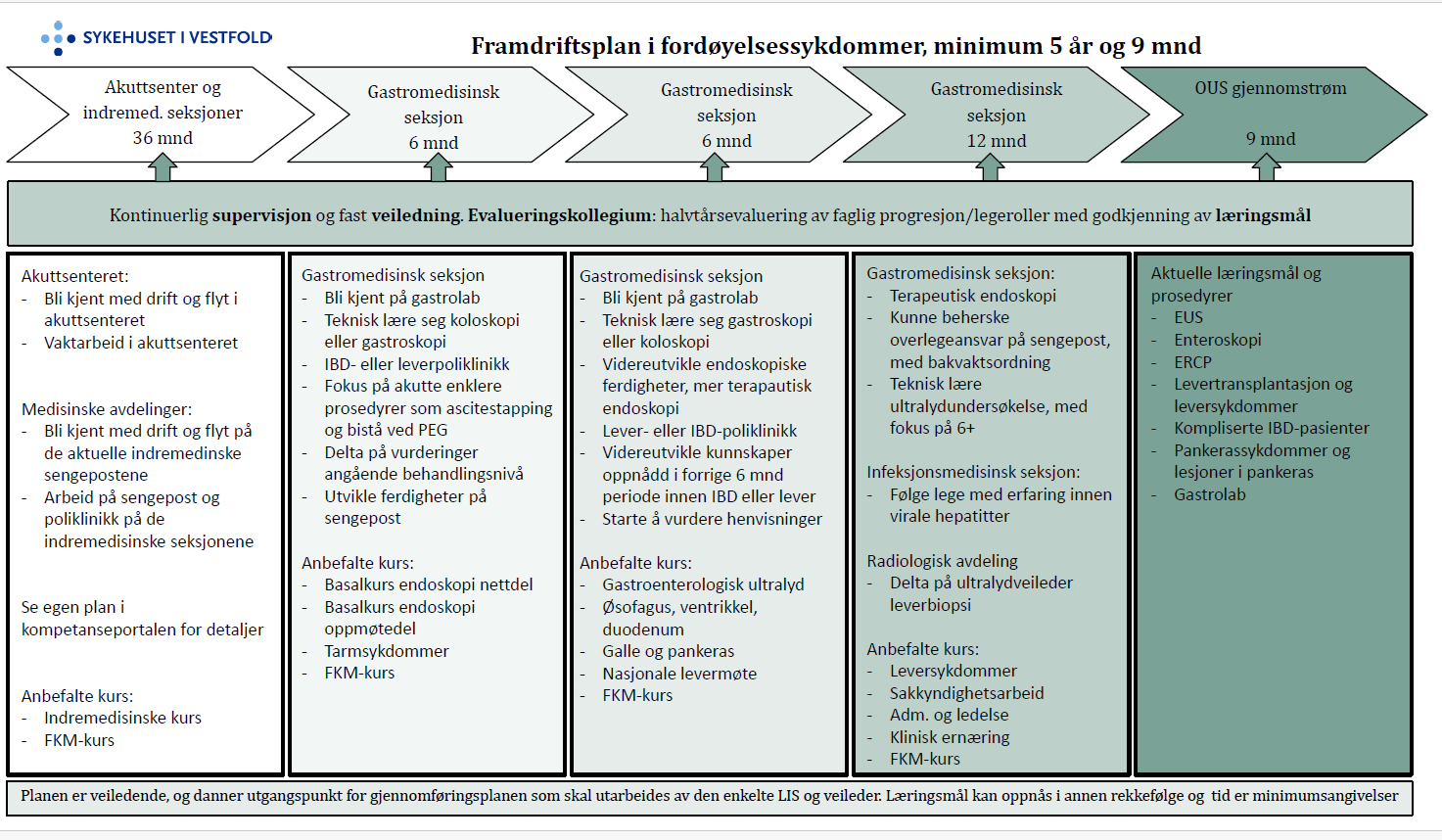 Firgur som viser overordnet framdriftsplan til itdanningsplan for gastro 2025