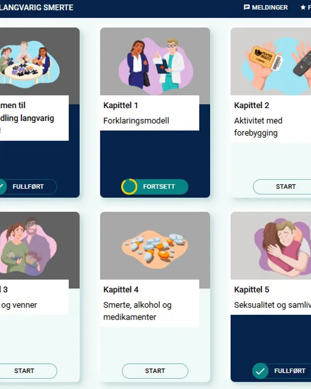 Grafisk brukergrensesnitt, applikasjon